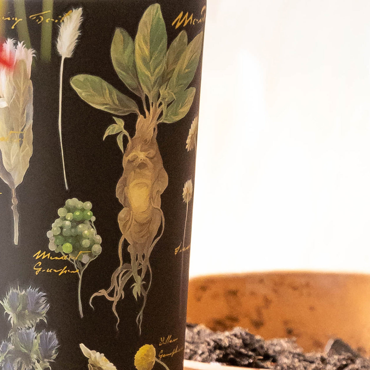 harry-potter-cold-cup-x3 Herbology-3.jpg